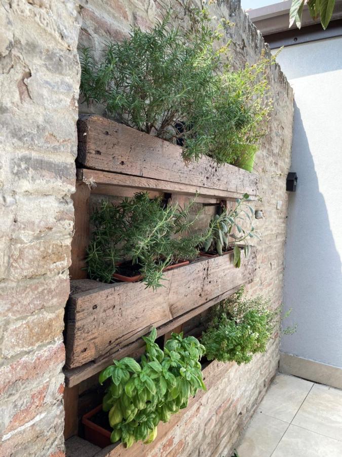 Al Ruderino Ξενοδοχείο Comacchio Εξωτερικό φωτογραφία